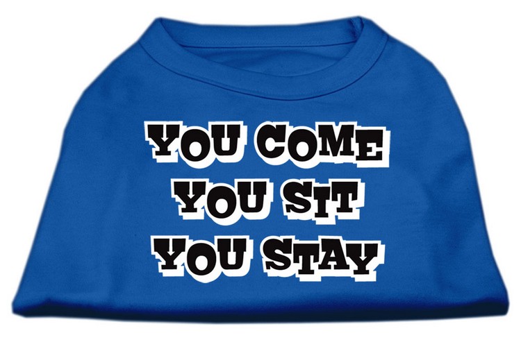 You Come, You Sit, You Stay Screen Print Shirts Blue Med